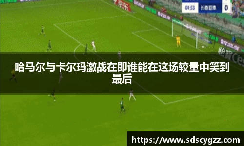 完美体育365官方网站